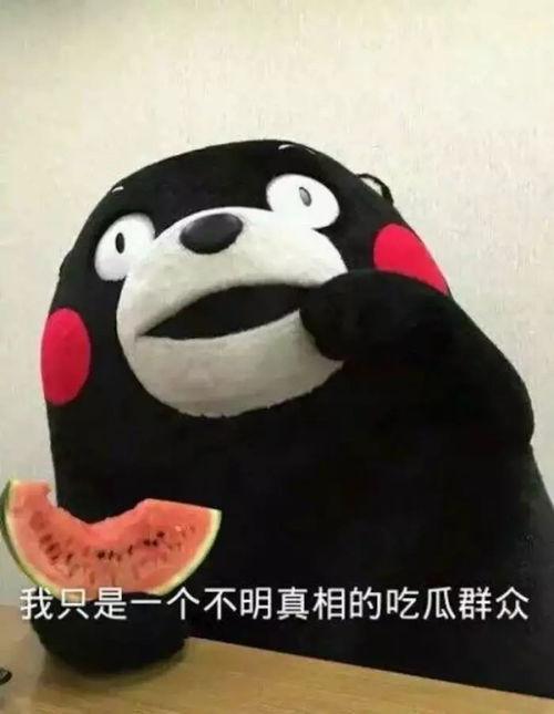吃瓜群众小哈的视频,揭秘娱乐圈幕后故事