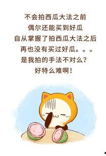 吃瓜群众下一句押韵话,吃瓜群众热议风云录