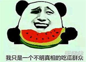 吃瓜群众是吃什么瓜,揭秘吃瓜群众的瓜食奥秘