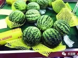 吃瓜群众贝壳,揭秘网络热议背后的真相