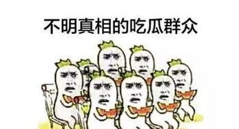 我是第一个吃瓜群众,揭秘网络热点的幕后故事