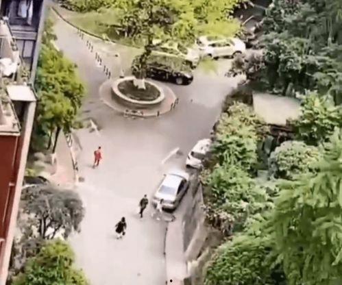 两个吃瓜群众趴阳台,见证邻里生活的点点滴滴