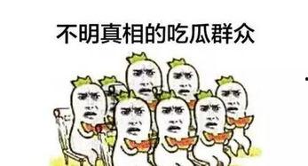 第10086号吃瓜群众,揭秘网络热点的幕后故事