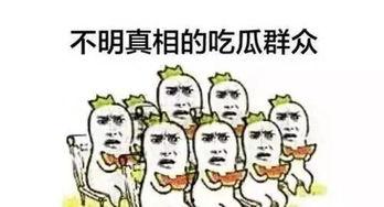 山寨食品吃瓜群众是什么,盲目跟风还是无奈选择？