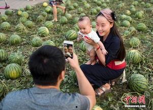 安哥拉吃瓜群众,吃瓜群众的热情与生活百态