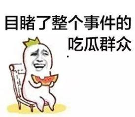 吃瓜群众1437,一场全民参与的娱乐盛宴