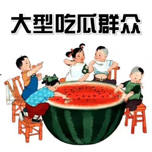军坡吃瓜群众事迹材料,见证历史变迁的民间英雄
