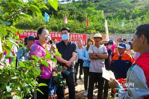 吃瓜群众岱岱搜狐微博,揭秘搜狐微博背后的故事