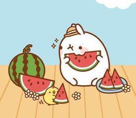 吃瓜群众吃的饱饱的,揭秘娱乐圈幕后故事