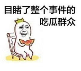 吃瓜群众流露情感的句子