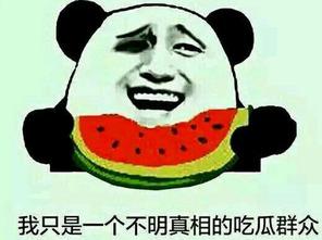 刘艺满吃瓜群众,吃瓜群众的狂欢盛宴