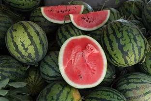 群众吃瓜刮钱视频,揭秘短视频时代的“瓜农经济”