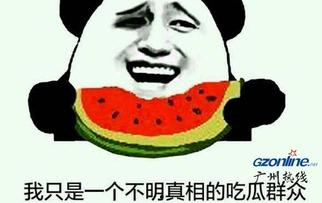 一线吃瓜群众的意思,一线吃瓜群众视角下的娱乐圈风云录