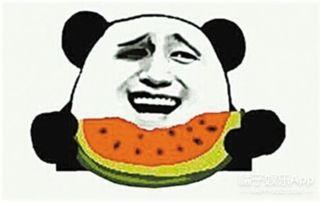 吃瓜群众师太米老头,揭秘网络红人的幕后故事