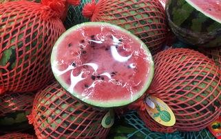 璃月吃瓜群众,吃瓜群众揭秘神秘事件