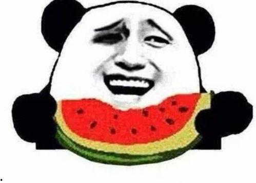 吃瓜群众瓜哥熊猫,揭秘网络红人的幕后故事