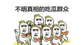 云星洲吃瓜群众,揭秘娱乐圈最新热点事件