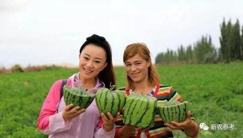 新疆的吃瓜群众叫啥了,社会变迁下的文化现象