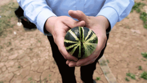 来自山东的吃瓜群众是谁,揭秘网络红人背后的故事