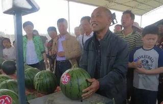 太原老军营群众吃瓜,夏日吃瓜群众的热闹日常