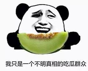 吃瓜群众不寂寞,揭秘网络时代的全民娱乐盛宴