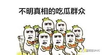 吃瓜群众最想看什么