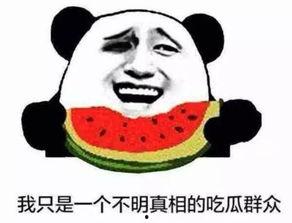 穿越成了吃瓜群众怎么办,我的意外人生之旅