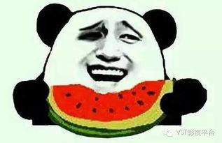 吃瓜群众的绿色手机壁纸