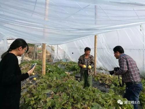 西昌吃瓜群众表示什么,揭秘当地热门话题背后的真相