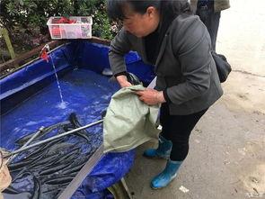 吃瓜群众下班回来,吃瓜群众热议职场新鲜事