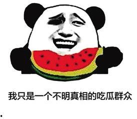 一大堆的吃瓜群众,揭秘网络热议背后的真相与趣味