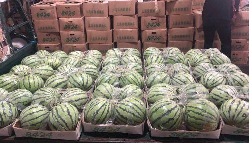 厦门所有吃瓜群众,吃瓜群众视角下的城市生活百态”