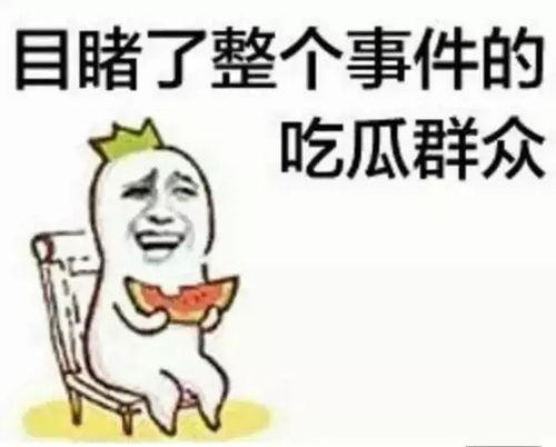 沐兮吃瓜群众,吃瓜群众的视角，揭秘娱乐圈风云